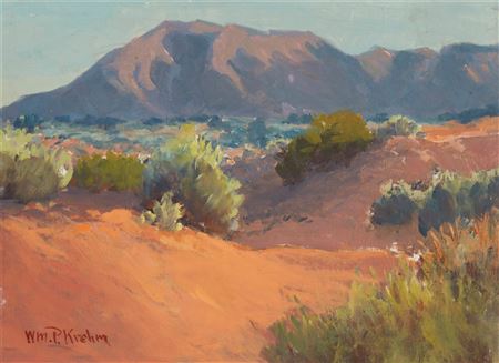 Desert Scene