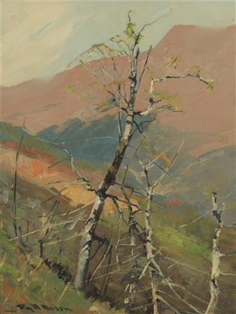 Tree Along A Mountainside