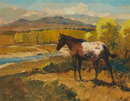 "Lonely Stallion"