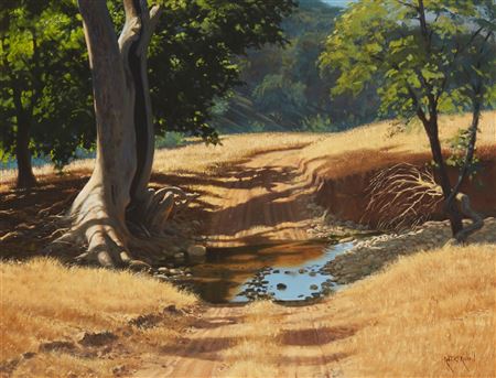 "Summer Shadows"
