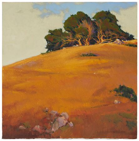 "Winward Hillside," 1995