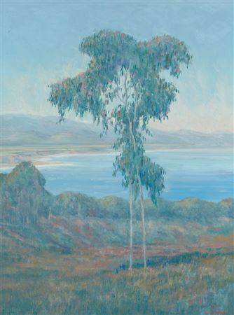 Euclayptus landscape overlooking the Pacific