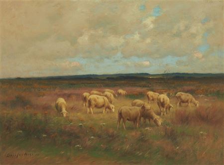 Herd of sheep