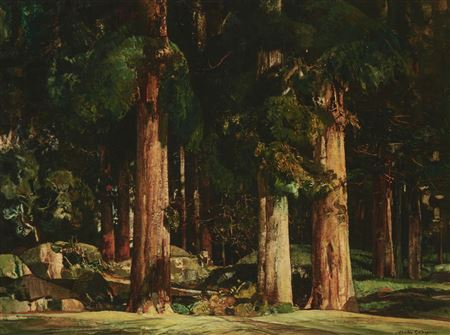 "Glowing Woods"