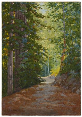 "An Old Road, and Redwoods," 1910