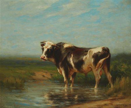 Holstein at a watering hole, 1912