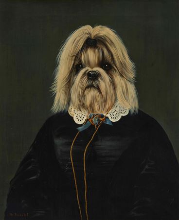 Portrait of a Shih Tzu with lace collar