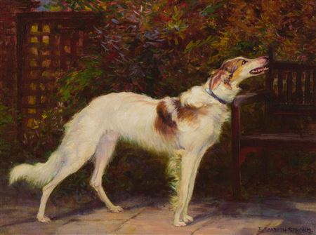 Borzoi beside a garden bench