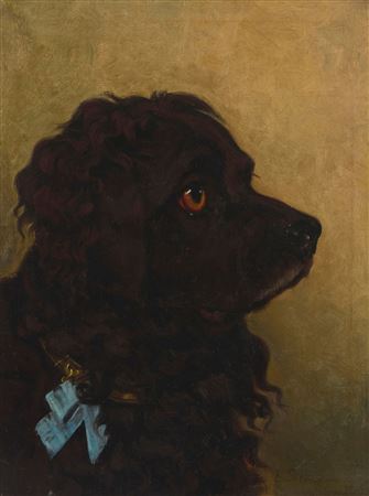 Portrait of a Spaniel