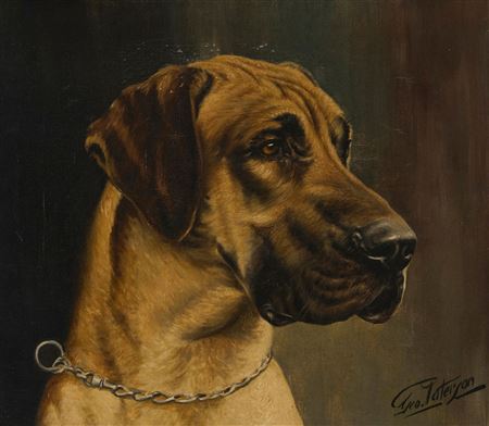 Great Dane