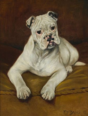 A Boxer puppy, 1911