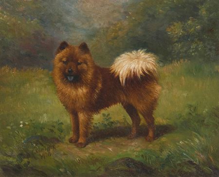 Pomeranian
