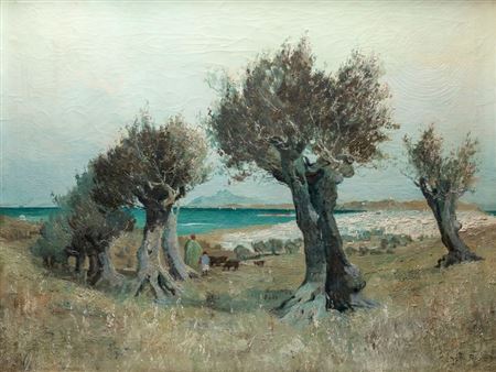 Olive trees in front of white Tunis