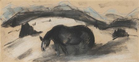 "Pferd auf Bergwiese"