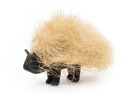 "Porcupine"
