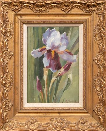 "Iris"
