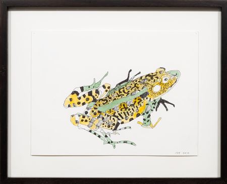 "Frogs" (2)