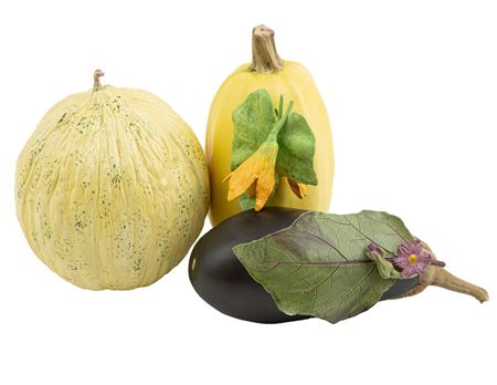 Three ceramic vegetables