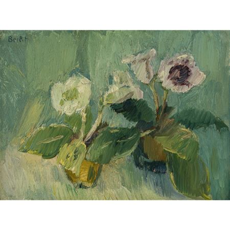 Christmas roses