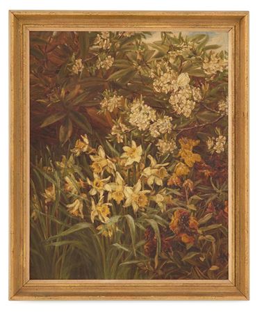 Spring: Daffodils and Agapanthus