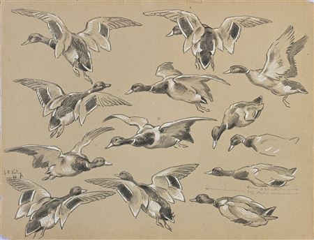Study of green collars