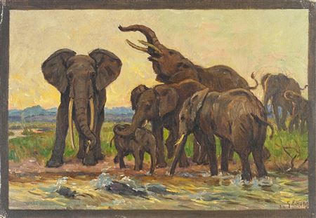 Herd of elephants