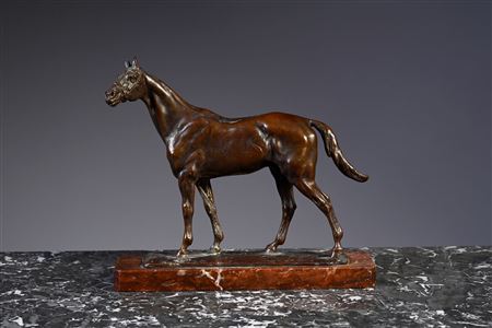 Horse with halter