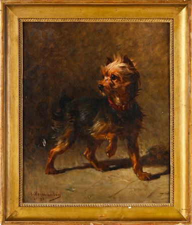 Portrait of a Yorrkshire terrier