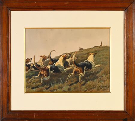 The hunt