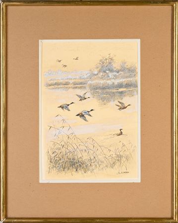 The Flight of Ducks