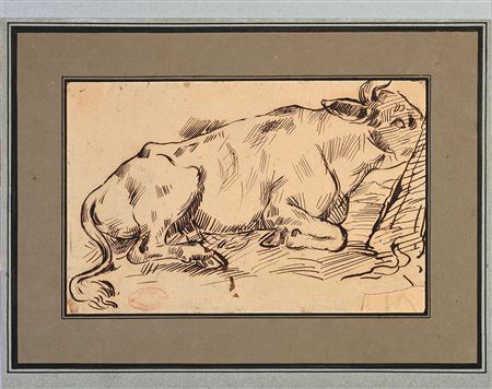 Study of a cow grazing