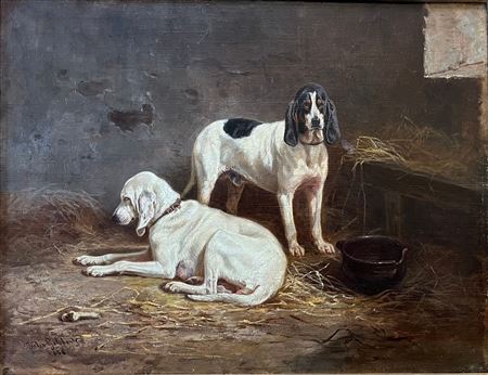 Dogs in a kennel