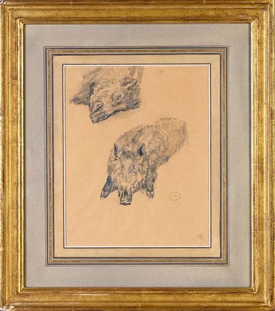Study of a wild boar