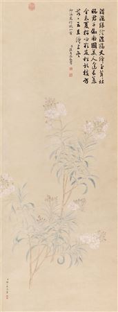 Oleander Flowers