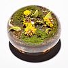 Botanical/Root People Paperweight