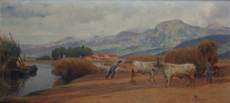 The Sedge