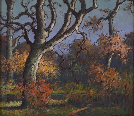 AUTUMN, PIMMIT RUN, VIRGINIA