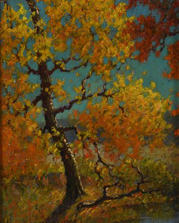 AUTUMN, WOODRIDGE D.C.