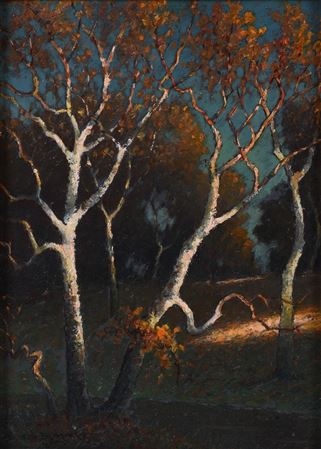 OPEQUAN CREEK, VIRGINIA, 1957