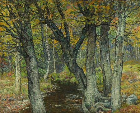 THE FOREST, 1882