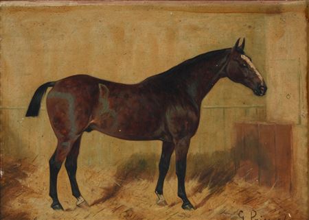 HORSE