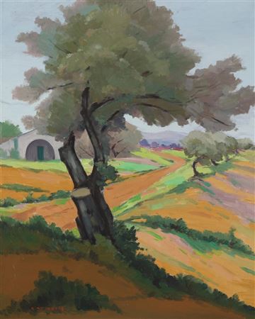 Landscape