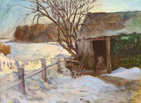 Schuppen im Winter