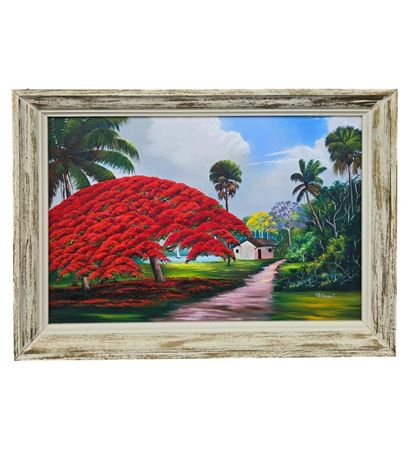 POINCIANA TREE LANDSCAPE