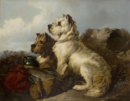 Two terriers in Highland landscape;