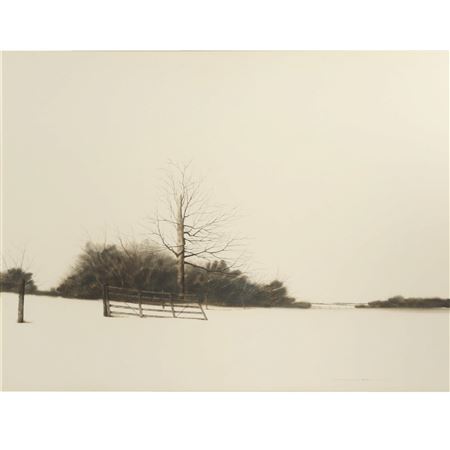 Winter landscape