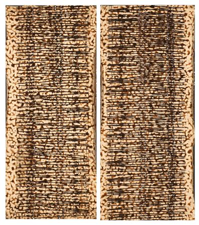 Camouflage (dipytych)
