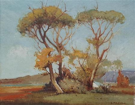 Grove of Trees