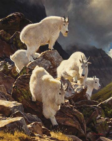 Boulder Hopping by Dustin Van Wechel - Auction record, sale price, and art valuation. Compare with similar artists and explore comparable artworks.
