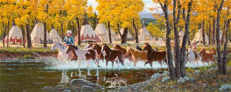 Indian Camp in Aspen